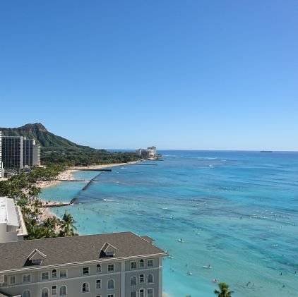 scrapforever's profile picture. 