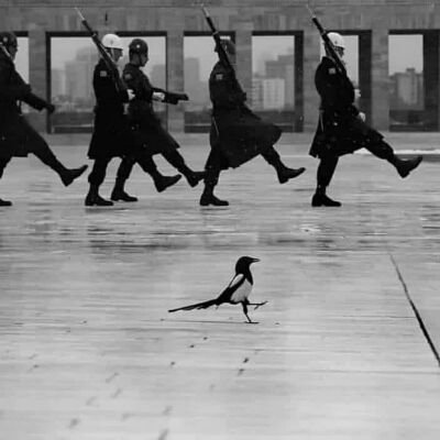 FatihKYurtseven's profile picture. 