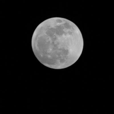 gparaspatki's profile picture. 