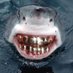 TIBURON TRAP (@pollasucia69) Twitter profile photo TIBURON TRAP (@pollasucia69) Twitter profile photo
