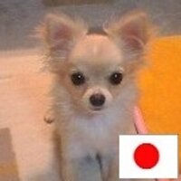 tokujun (@tokujun86) 's Twitter Profile