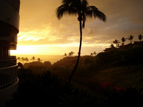 AmandaRaven1's profile picture. 