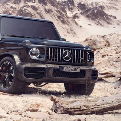 G8MVlgU92gbVUge's profile picture. 