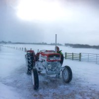 The Friends of Ferguson Heritage (@tractorferguson) 's Twitter Profile