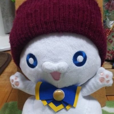 早瀬美夜さんのプロフィール画像