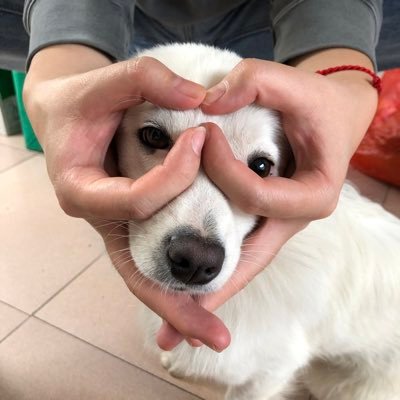 mmpyさんのプロフィール画像