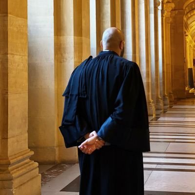 Avocat au Barreau de Paris. Chargé d'enseignement à l'université.