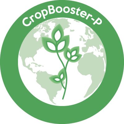 Designing our plants of the future: CropBooster-P is a CSA project supported through the EU Horizon 2020 programme.