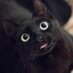 GCARBIG (@ackbigg) Twitter profile photo GCARBIG (@ackbigg) Twitter profile photo