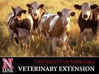 UNLVetExt's profile picture. News and information about food animal production systems and their role in human, animal, and environmental health.