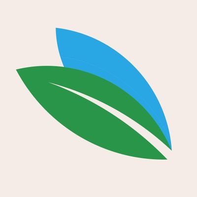 bonetsc's profile picture. Nossa marca é sustentável.