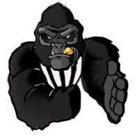 FirstDrive (@firstdrive95) 's Twitter Profile