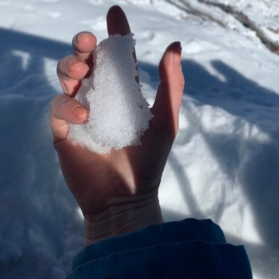 im_salad's profile picture. 活得很废。对世界很好奇。