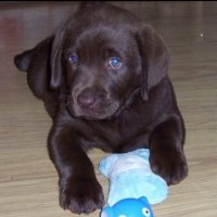 Mags Morrow QN (@magsmorrow) 's Twitter Profile