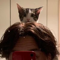 佐藤海人 (@satohkaito) Twitter profile photo