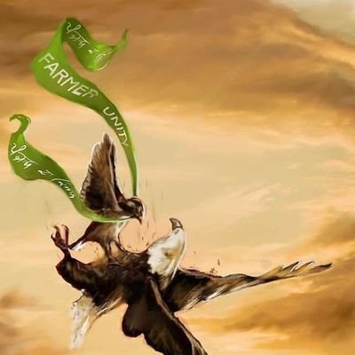 MOHANJE99587343's profile picture. 