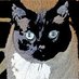 MaxCat (@colonelmomo) Twitter profile photo MaxCat (@colonelmomo) Twitter profile photo