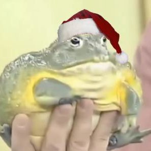 Jim the Raptorさんのプロフィール画像