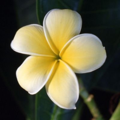 j1C0C9iExTw1bIQ's profile picture. 2023年3月 保護猫2匹を迎えました😺Tweet失礼があったら教えて下さい。