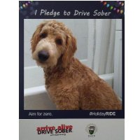 arrive alive DRIVE SOBER (@drivesober) 's Twitter Profile