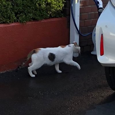 ki_suda's profile picture. 23歳会社員