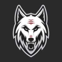 Paw Paw Girls Basketball (@ppgbasketball) 's Twitter Profile