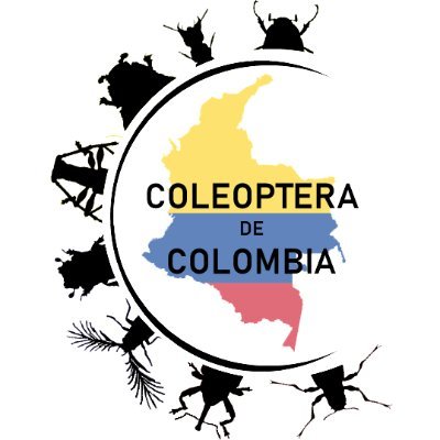 Trabajando juntos hacia el conocimiento del los #Coleoptera de #Colombia #ColeópterosDeColombia #ColeopterólogosDeColombia