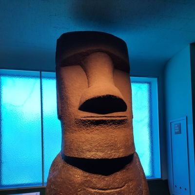 SEO ✪ Growth Strategist ✪ Creative Marketing 🗿
Unas gráficas bonitas no llenan la cuenta corriente. Lo que los negocios necesitan son oportunidades y ventas.