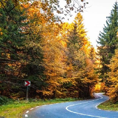 AthenaFreja's profile picture. 