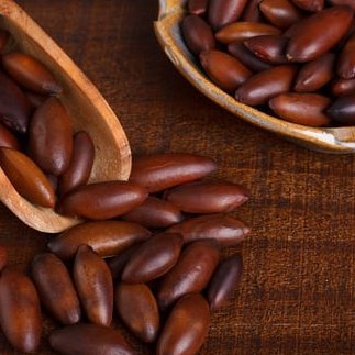 Castanha de Baru - O BARU tem um gosto que lembra o do amendoim, portanto também chamado de amendoim do cerrado.
