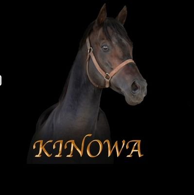 Şampiyon Aygır Kinowa'nın resmi hesabıdır
https://t.co/35Dmhp4zEq