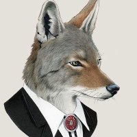 Coyote (@cryptocoyote) 's Twitter Profile Photo Coyote (@cryptocoyote) 's Twitter Profile Photo