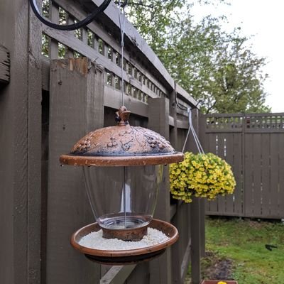 Knocnock's profile picture. 