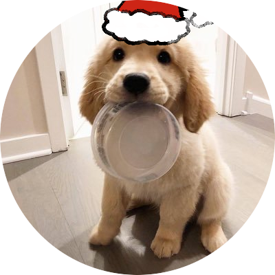 chocopui✨💖🎄さんのプロフィール画像