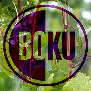 The official twitter account of the Institute for Viticulture and Pomology at @BOKUvienna