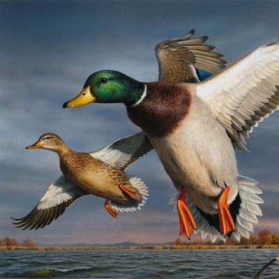 MallardStamps