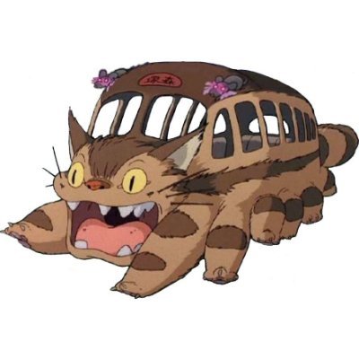 Riding the Catbus