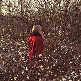 FluffyAndHuffy's profile picture. pretty queer, aro-ace, autistic & adhd, intersectionality hooray, terfs may kindly fuck off, staircase enthusiast, also really loves rain & moss. 🐝 they/them