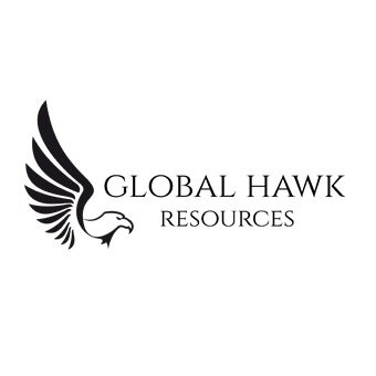 _GlobalHawk's profile picture. COLLECT. ANALYZE. OPTIMIZE.