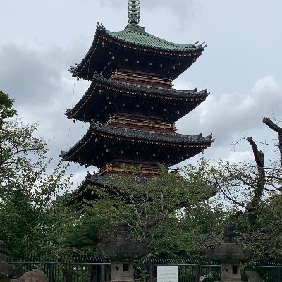 rensyoucom1's profile picture. 