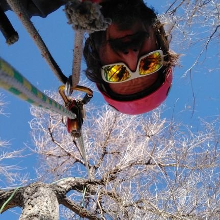 I am a mountain man tree climber ,hard working hard living type man .