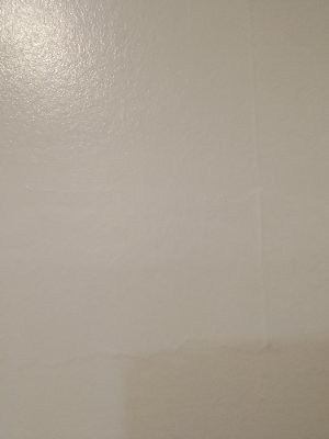 thelyingcarpets's profile picture. 