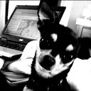 Samantha Knee - @samknee26 - Twitter