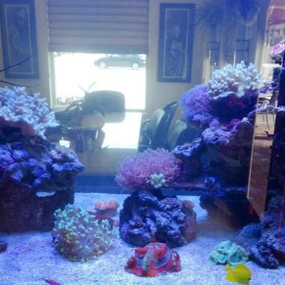 RipSoundRecord's profile picture. 