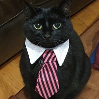 Ryan Middleton (@rymiddy) 's Twitter Profile