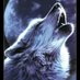 lobo del chocancharava( Rio iv) (@marcosfabianlo9) Twitter profile photo lobo del chocancharava( Rio iv) (@marcosfabianlo9) Twitter profile photo