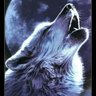 MarcosfabianLo9's profile picture. lobo solitario: llevo la precaucion y alertas listas , hay mucho odio suelto; soy muy argento. A sabiendas que la fortaleza del lobo esta en la manada