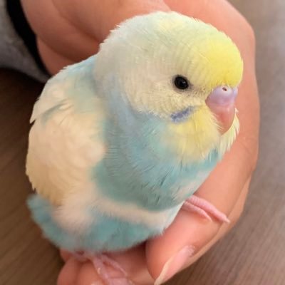 shoon0201's profile picture. 