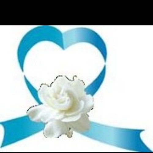 chenswug's profile picture. 