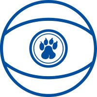 Silver Bluff Basketball(@SilverBluffBB) 's Twitter Profile Photo